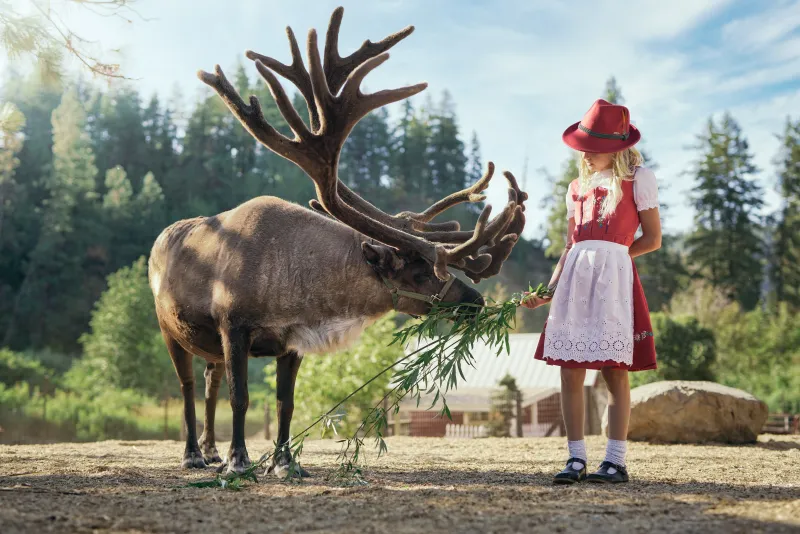 Leavenworth Reindeer Farm